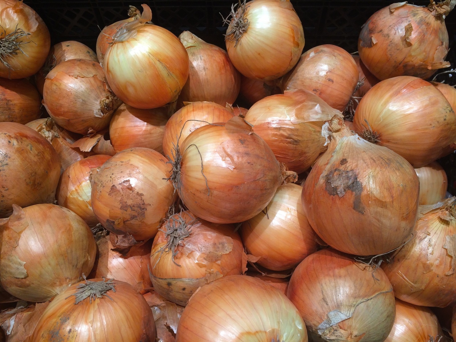 onions-1663178_1920